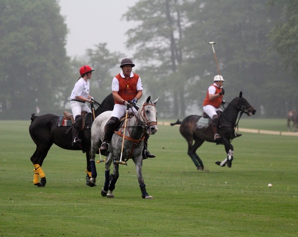 Polo_Art   135.jpg